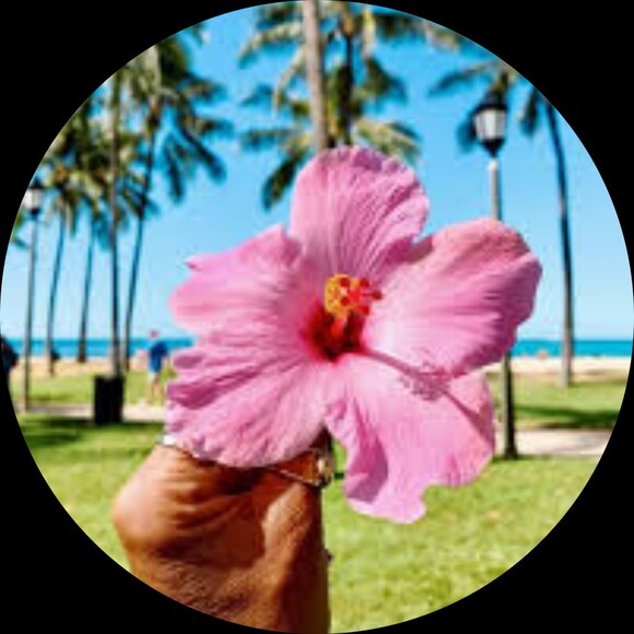 true_paradise